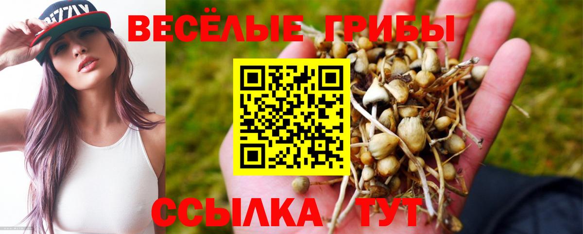Галлюциногенные грибы мухоморы Кольчугино