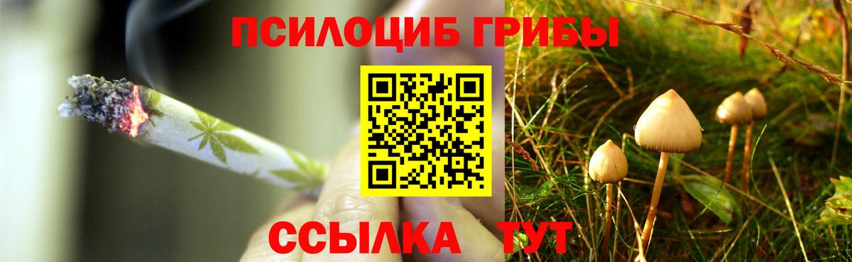как найти наркотики  Галлюциногенные грибы ЛСД  Вход с VPN  Кольчугино 